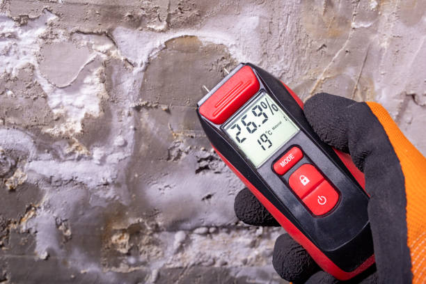 Best Mold Testing  in Little Silver, NJ
