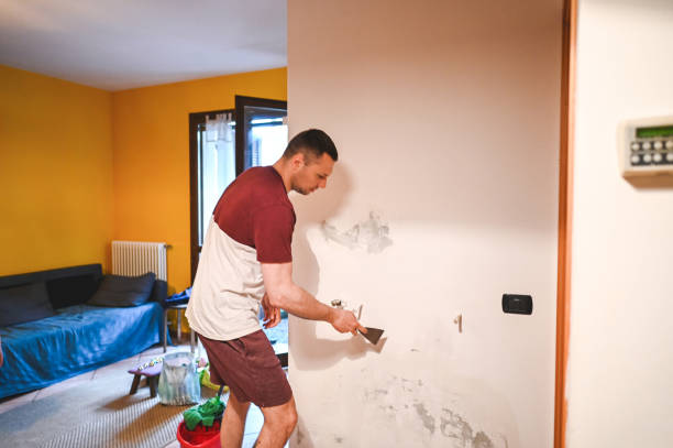 Best Same-Day Mold Removal  in Little Silver, NJ